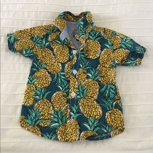 Pineapple Button Down Collar Shirt